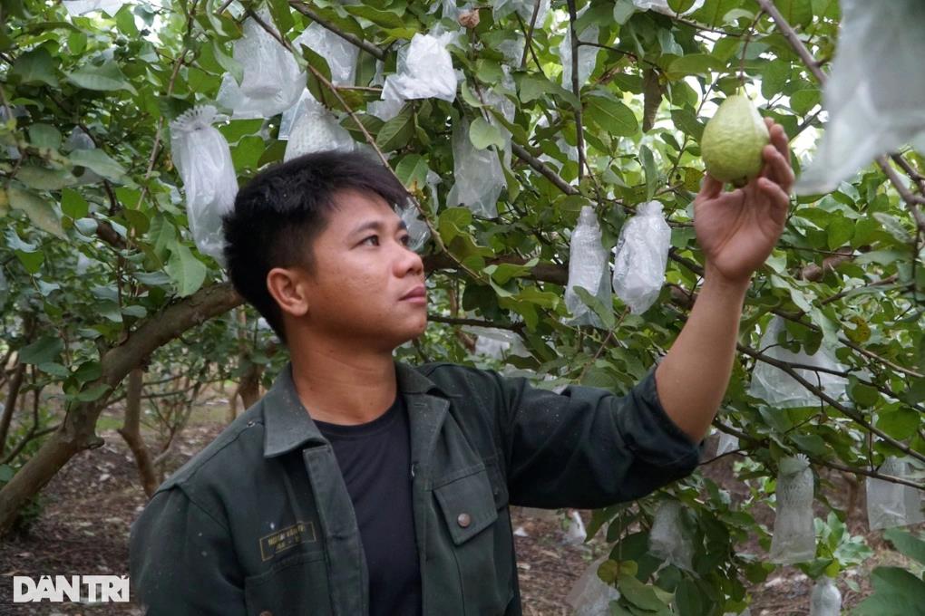 [dantri] Chàng trai rời thủ đô về quê làm nông, mỗi năm thu hơn nửa tỷ đồng