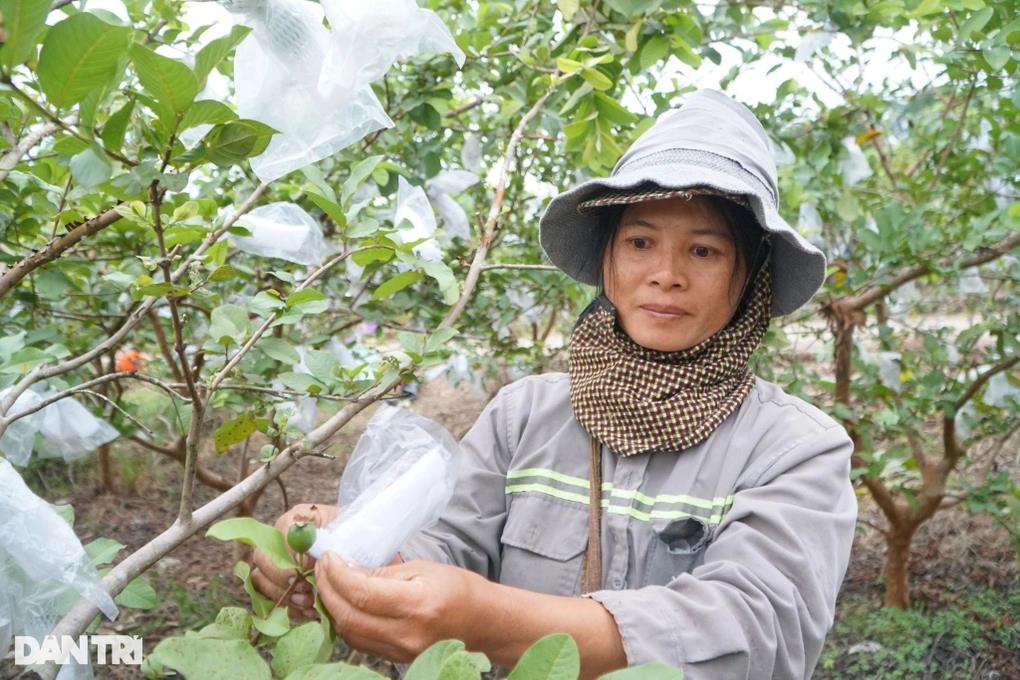 [dantri] Chàng trai rời thủ đô về quê làm nông, mỗi năm thu hơn nửa tỷ đồng