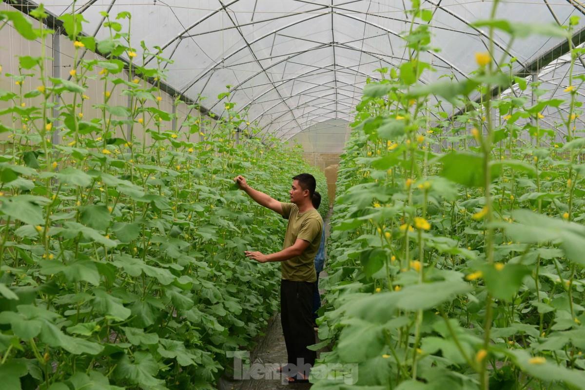 [tienphong] Thanh niên Tuyên Quang khởi nghiệp thành công với nông nghiệp công nghệ cao