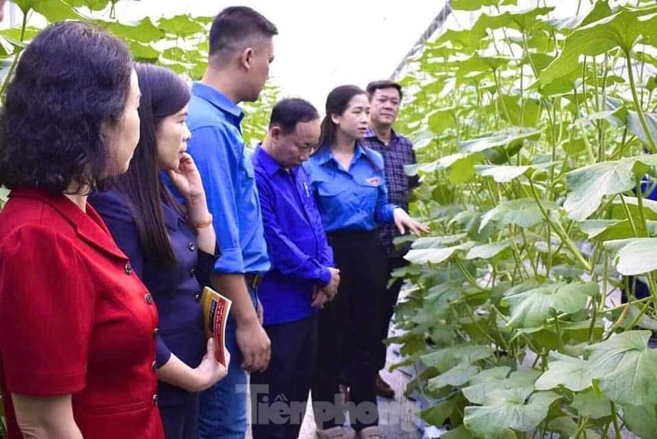 [tienphong] Thanh niên Tuyên Quang khởi nghiệp thành công với nông nghiệp công nghệ cao