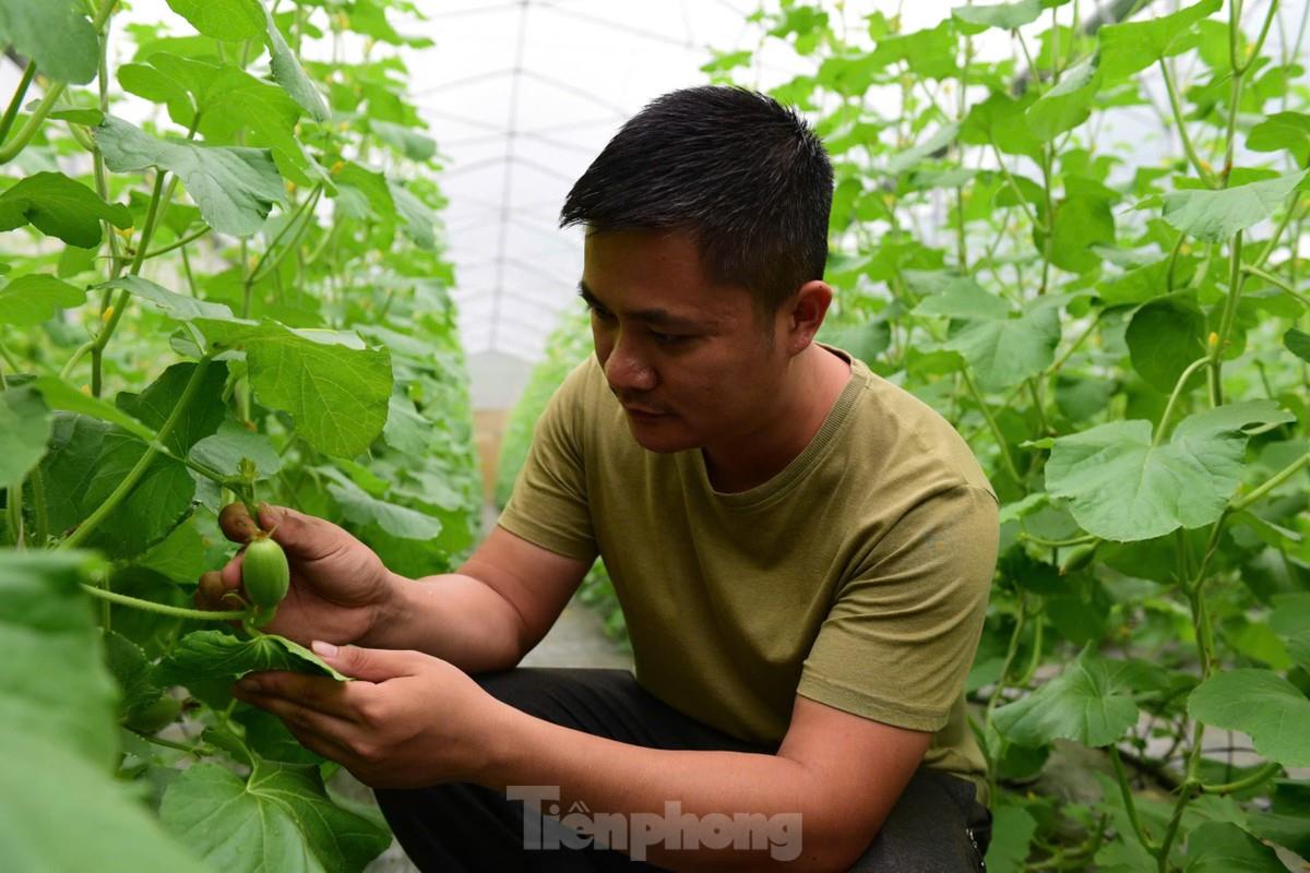 Thanh niên Tuyên Quang khởi nghiệp thành công với nông nghiệp công nghệ cao