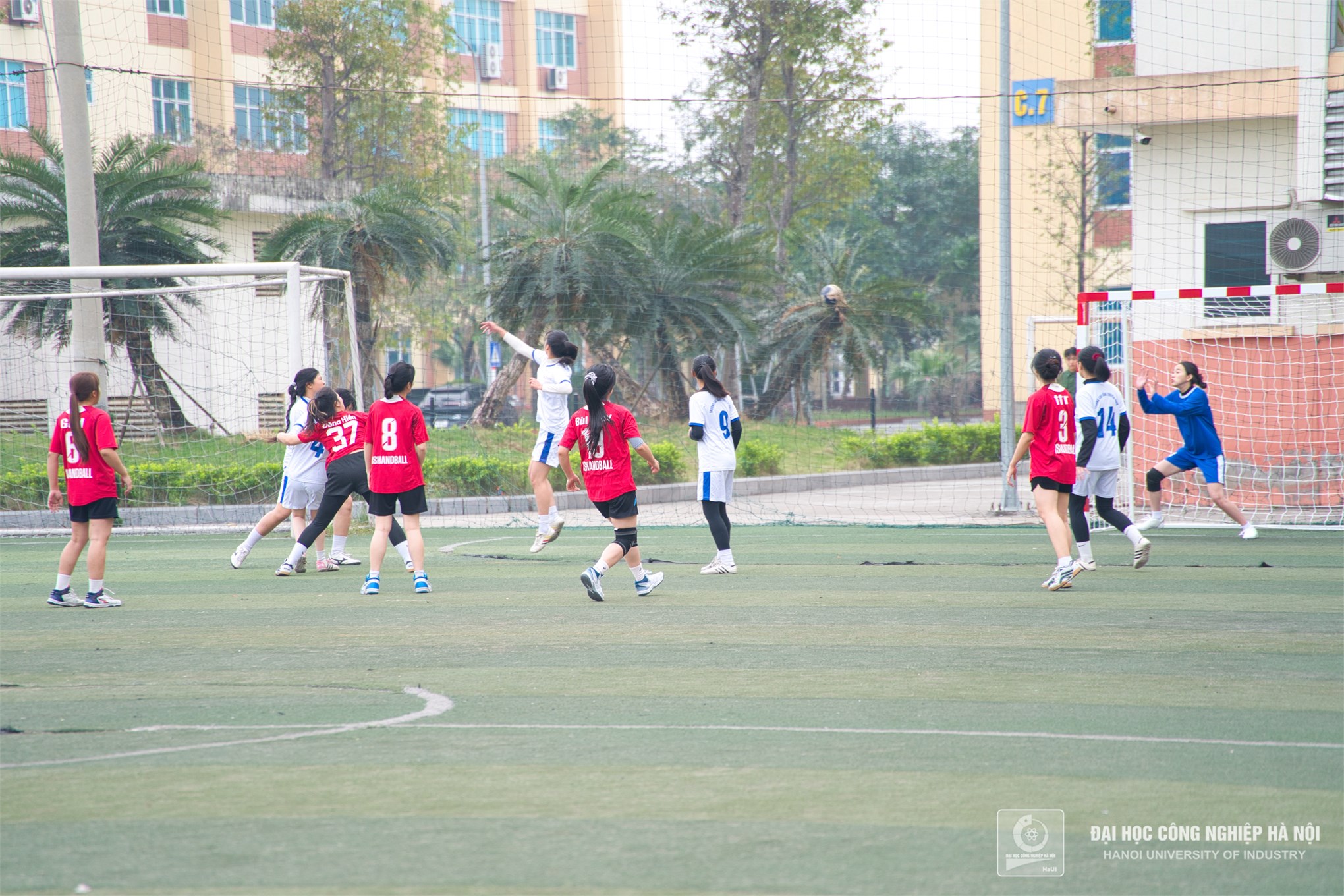 Hanoi Student Handball Championship 2024: A Showcase of Talent and Sportsmanship