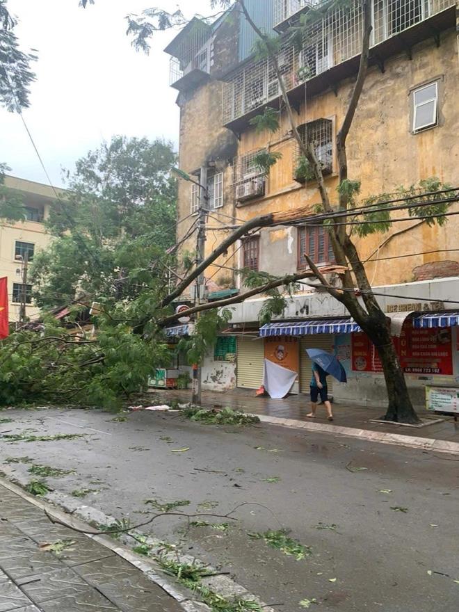 [tuoitre] Bão số 3 đã qua, sinh viên Hà Nội hối hả khắc phục sau cơn bão