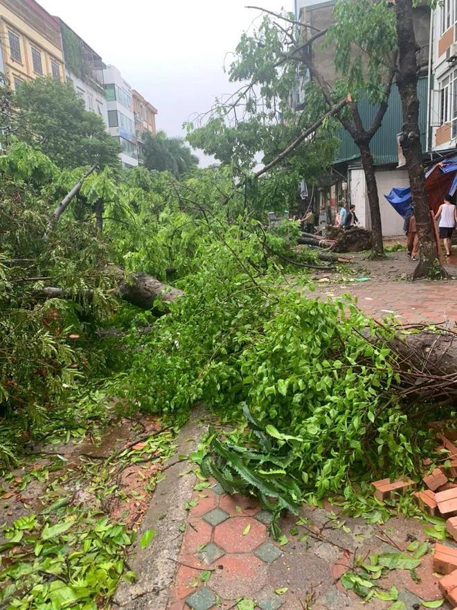 [tuoitre] Bão số 3 đã qua, sinh viên Hà Nội hối hả khắc phục sau cơn bão