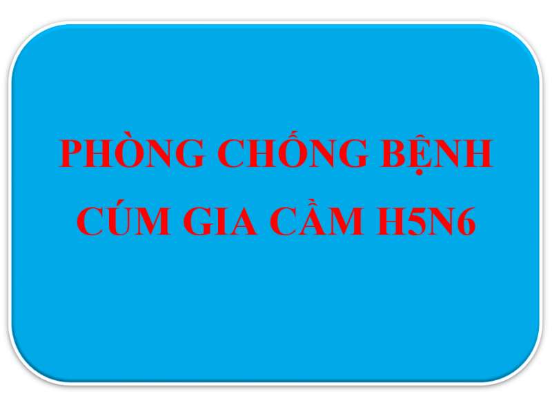 Thông báo về việc phòng chống bệnh cúm gia cầm H5N6