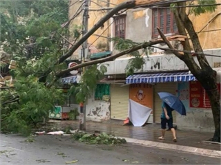 [tuoitre] Bão số 3 đã qua, sinh viên Hà Nội hối hả khắc phục sau cơn bão